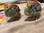 Immagine 4