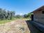 Immagine 17