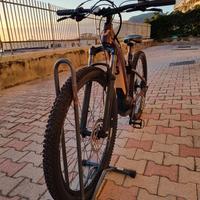 Bici Liv Donna nuova