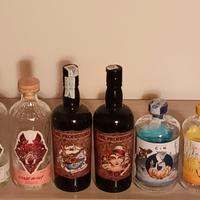 LOTTO 6 BOTTIGLIE VUOTE DI GIN ILLUSTRATE
