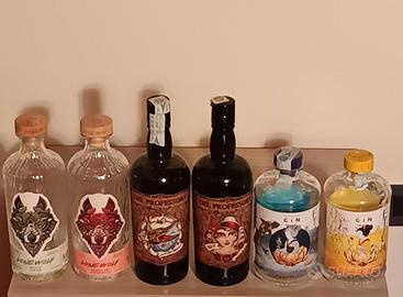 LOTTO 6 BOTTIGLIE VUOTE DI GIN ILLUSTRATE