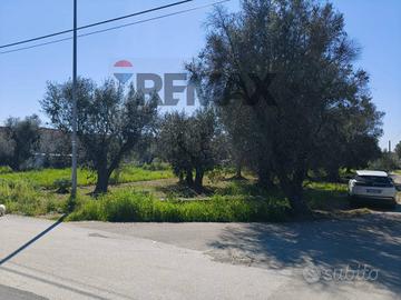Terreno - Monteparano