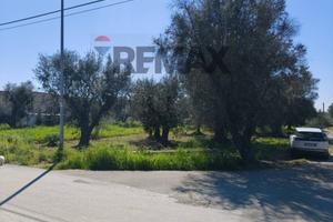 Terreno - Monteparano