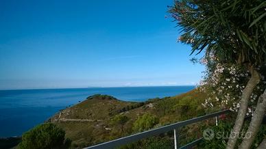 Trilocale indipendente con giardino