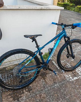Bici MTB 29" M Silverback Splash Elite