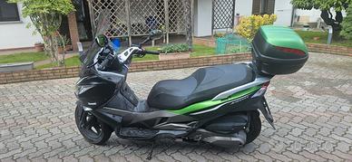 Kawasaki J300 - 2014