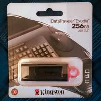 Chiavetta USB Kingston 256 GB 