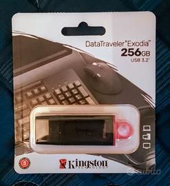 Chiavetta USB Kingston 256 GB 