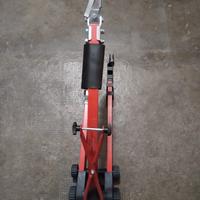 cammellino traina bambini 