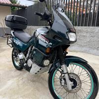 Honda XL 600 V Transalp