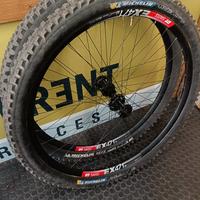 Ruote AM Enduro Dtswiss EX471