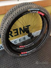 Ruote AM Enduro Dtswiss EX471