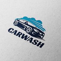 Lavaggista Professionista