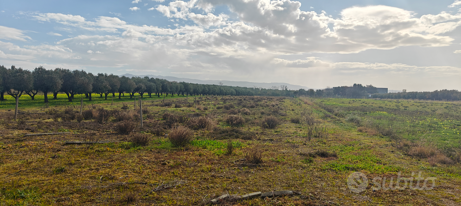 Terreno agricolo 8.760m² mt30x300 Lamezia zona A2 - Vista 5
