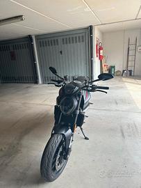 Monster 01/2022