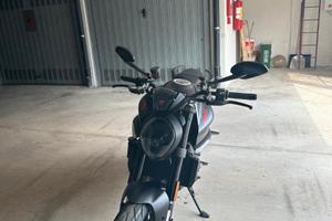 Monster 01/2022