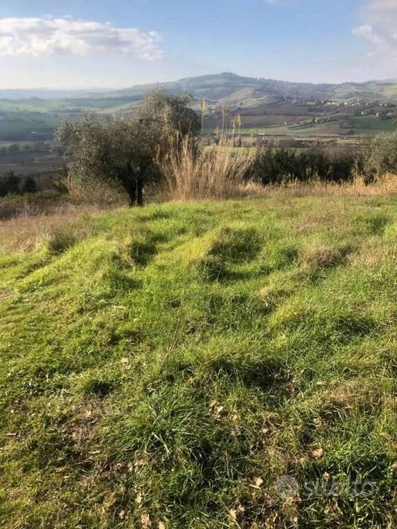 Immobile in asta di 15242 m² a Gradara - Vista 5