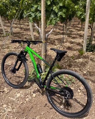 CANNONDALE TRAIL SL 3