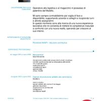 Magazziniere/altro
