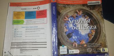 libri Arte Segreta bellezza scuola media 