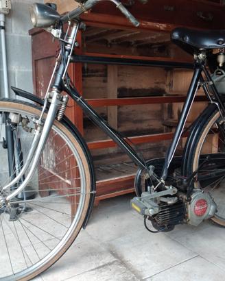 bici mosquito