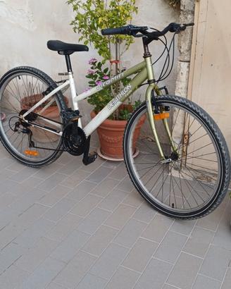 Bicicletta