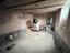 Immagine 27
