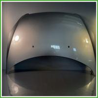 Cofano Motore GRIGIO ALLUMINIO EZR PEUGEOT 307 200