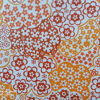 Carta Parati anni 70 ORIGINALE ( 2 )