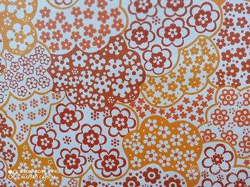 Carta Parati anni 70 ORIGINALE ( 2 )