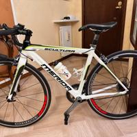 Bici Corsa Merida scultura  evo 909 in Carbonio