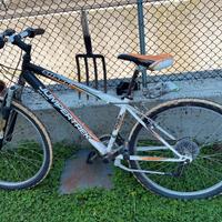 mtb da ragazzo