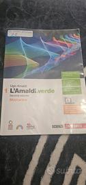 L'amaldi verde 1
