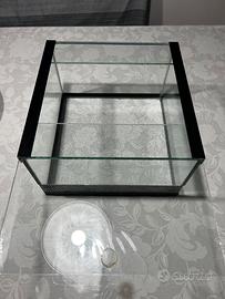 Teca in vetro artigianale per rettili ed esposizio