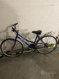 Bicicletta