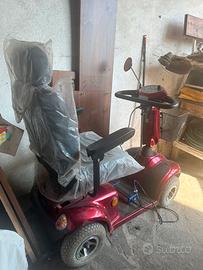 Motocarozzina elettrica