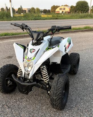 LEM Kondor baby 90cc