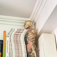 Esplorando il Corpo Umano - De Agostini - completo