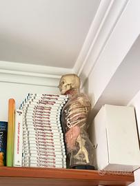 Esplorando il Corpo Umano - De Agostini - completo