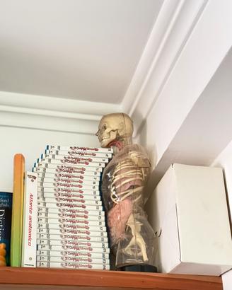 Esplorando il Corpo Umano - De Agostini - completo