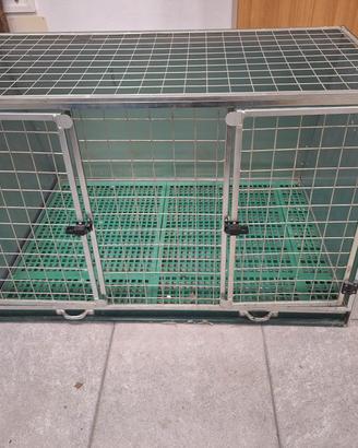 kennel per cani taglia grande