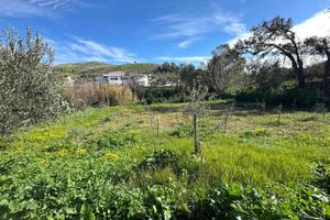 Rif.RI418| terreno agricolo catanzaro