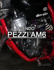 pezzi AM6