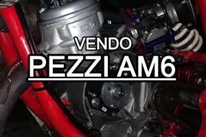 pezzi AM6