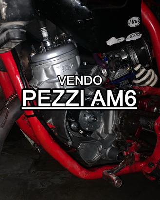 pezzi AM6