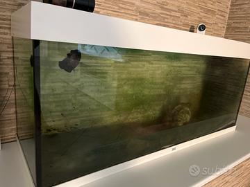 Acquario Juwel Rio 240 LED + Accessori