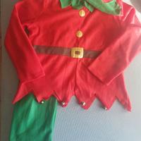 Costume da ELFO