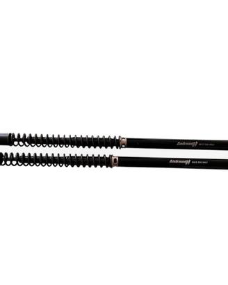 KIT CARTUCCIA FORCELLA EVOLUTION ANDREANI SUZUKI G