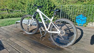 Canyon Stoic L