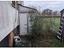 Immagine 8